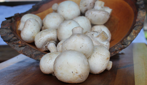 5 lb box White Button Mushrooms, #1