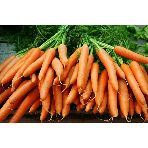 Carrots, per bunch