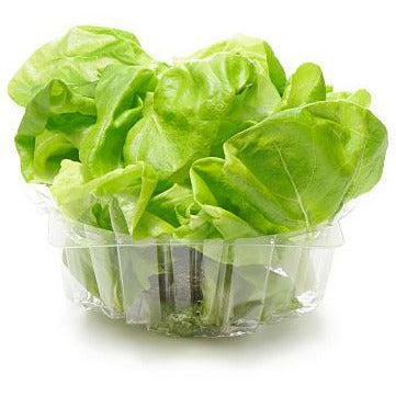 Living Lettuce, per head
