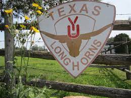 Grass-fed Ground Beef (frozen), per lb