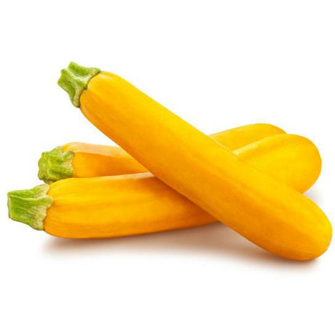 summer squash