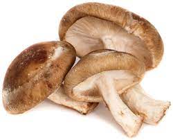 2 lb box Shiitake mushrooms #2 (size)
