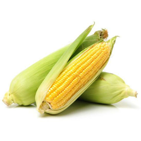 Sweat corn per quanities of 6