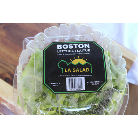 Living Boston lettuce, per pkg