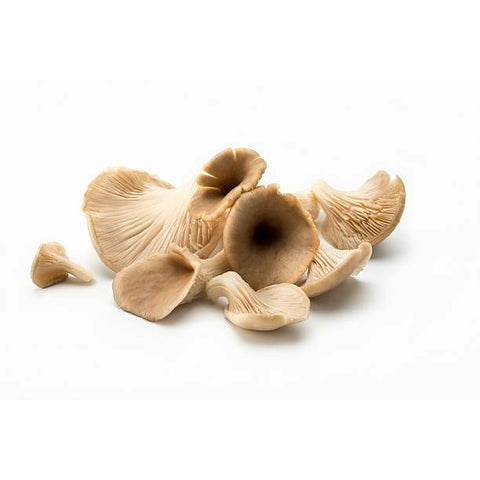 Oyster mushrooms, per lb